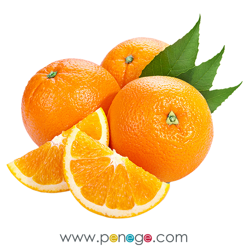 portakal resimleri png